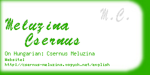 meluzina csernus business card